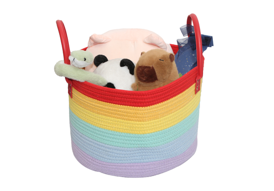 Rainbow Basket - Medium