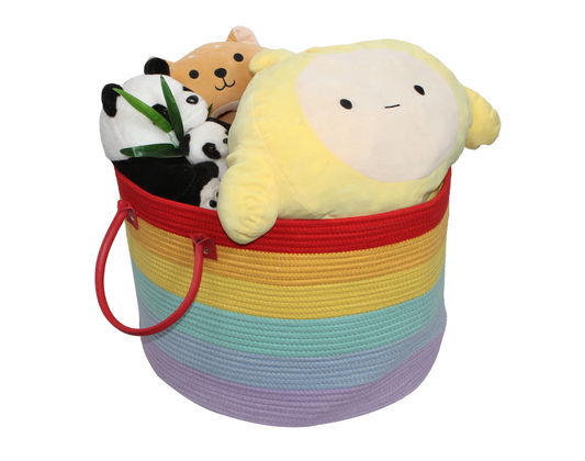Rainbow Basket - Large